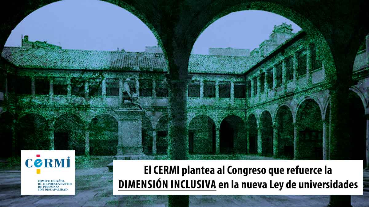 Cermi plantea Congreso reforzar inclusividad Ley de Universidades