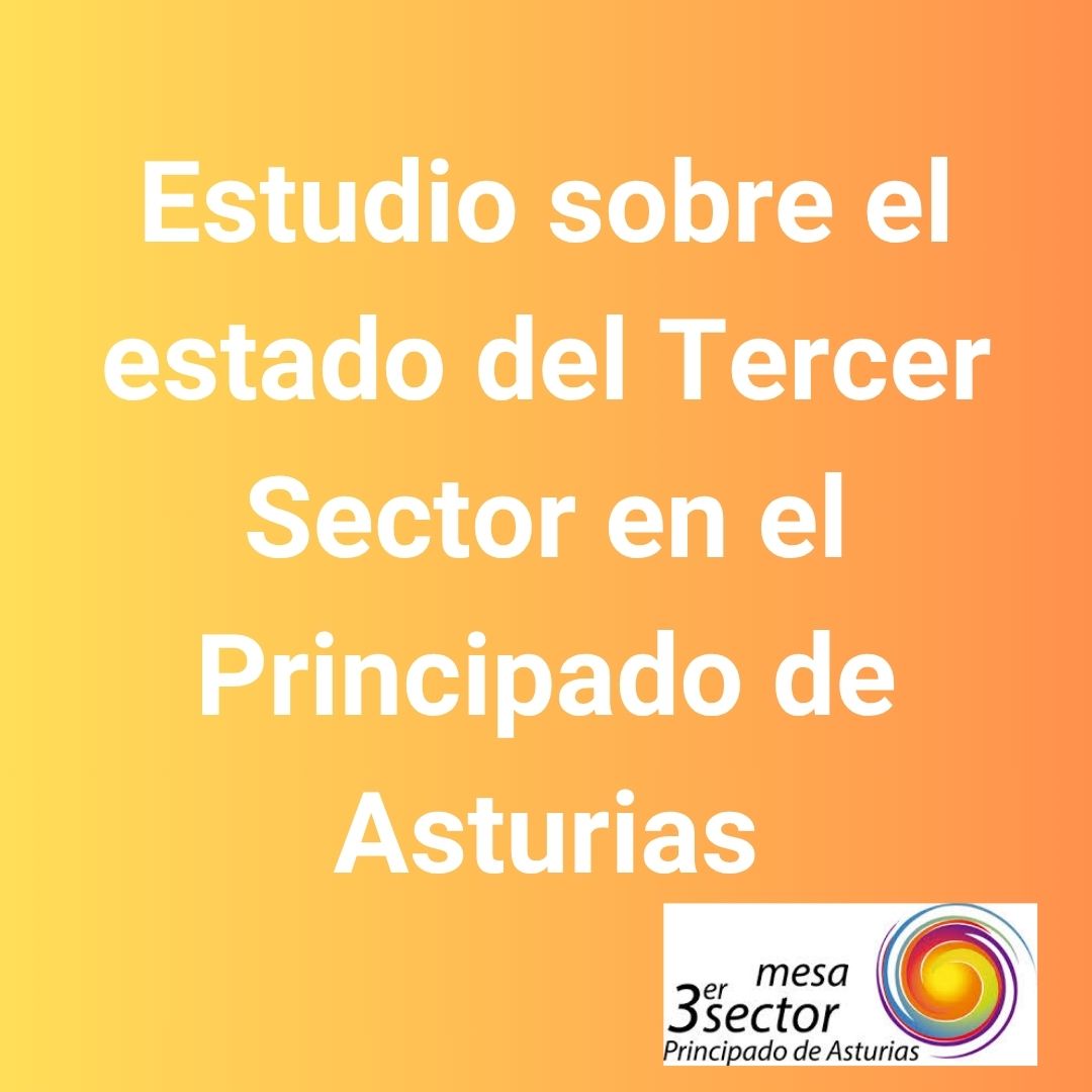 Mesa del Tercer Sector en Asturias(81)